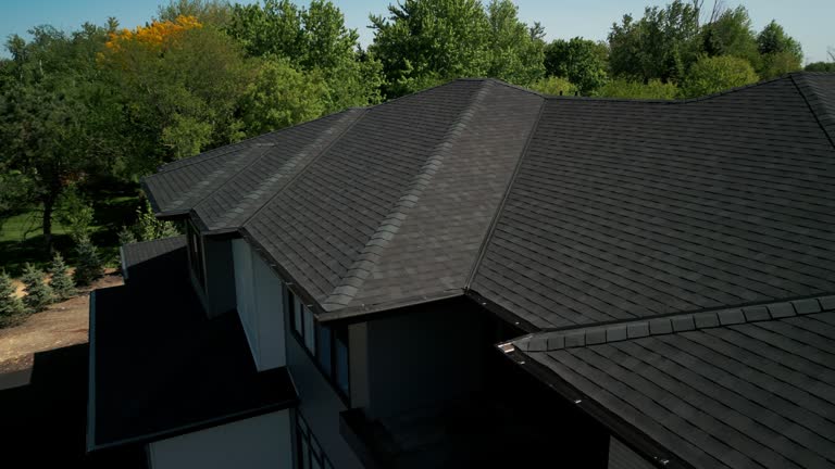 Professional Roofing Service  in Whitney, NV